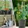 Blumentopf Milano mit Untersetzer Anthrazit Ø 22 cm