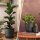 Blumentopf Milano mit Untersetzer Anthrazit Ø 22 cm