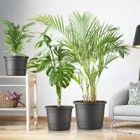 Blumentopf Terra Ø 54 cm Anthrazit