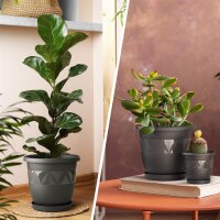 Blumentopf-10er Set Anthrazit Ø15 cm mit Untersetzer