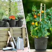 Blumentopf-10er Set Anthrazit Ø15 cm mit Untersetzer