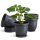 Blumentopf-5er Set Anthrazit Ø40 cm mit Untersetzer