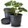 Blumentopf Capri-3er Set Anthrazit Ø35 cm mit Untersetzer
