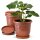 Blumentopf Capri-3er Set Terrakotta Ø21 cm mit Untersetzer