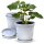 Blumentopf Capri 3er Set mit Untersetzer - Weiss