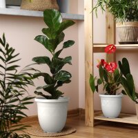 Übertöpfe Capri 5er Set - Weiss Ø 40 cm