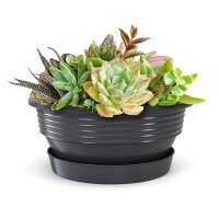 Pflanzschalen 5er Set mit Untersetzer - Anthrazit Ø 25 cm