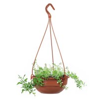 Blumenschale Hängeampel - Terrakotta Ø 32 cm