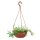 Blumenschale Hängeampel - Terrakotta Ø 32 cm