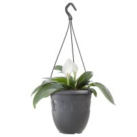 Blumentopf Hängeampel - Anthrazit Ø 24 cm