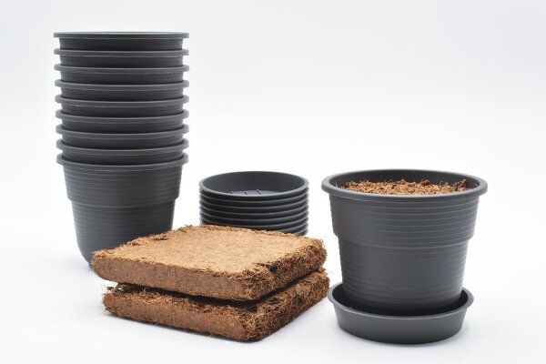 10 Stück Anzuchttöpfe mit Kokoserde Pflanztopf Ø 8 cm Durchmesser mit Untersetzer auf robusten Kunststoff und witterungsbeständigen Material, runde Saattöpfe