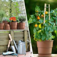 Blumentopf Milano mit Untersetzer Terrakotta Ø 26 cm