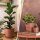 Blumentopf Milano mit Untersetzer Terrakotta Ø 26 cm