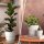 Blumentopf Milano mit Untersetzer Weiß Ø 32 cm