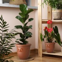 Blumentopf Capri Terrakotta Ø 30 cm