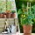 Blumentopf Capri mit Untersetzer Terrakotta Ø 18 cm