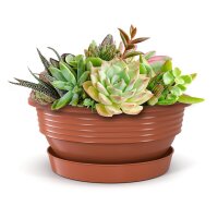 Blumenschale mit Untersetzer Terrakotta Ø 32 cm